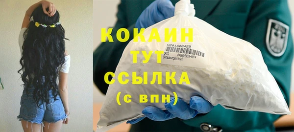 прущие грибы Алексин