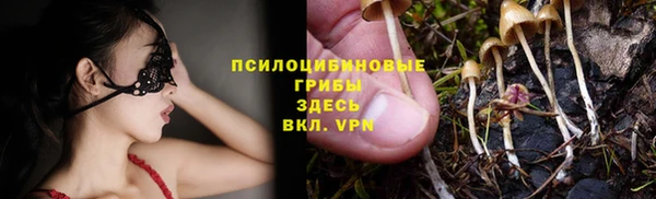 метадон Алексеевка