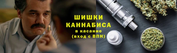 прущие грибы Алексин