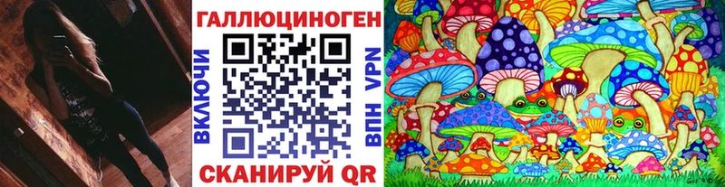 Псилоцибиновые грибы Psilocybine cubensis  Бокситогорск 